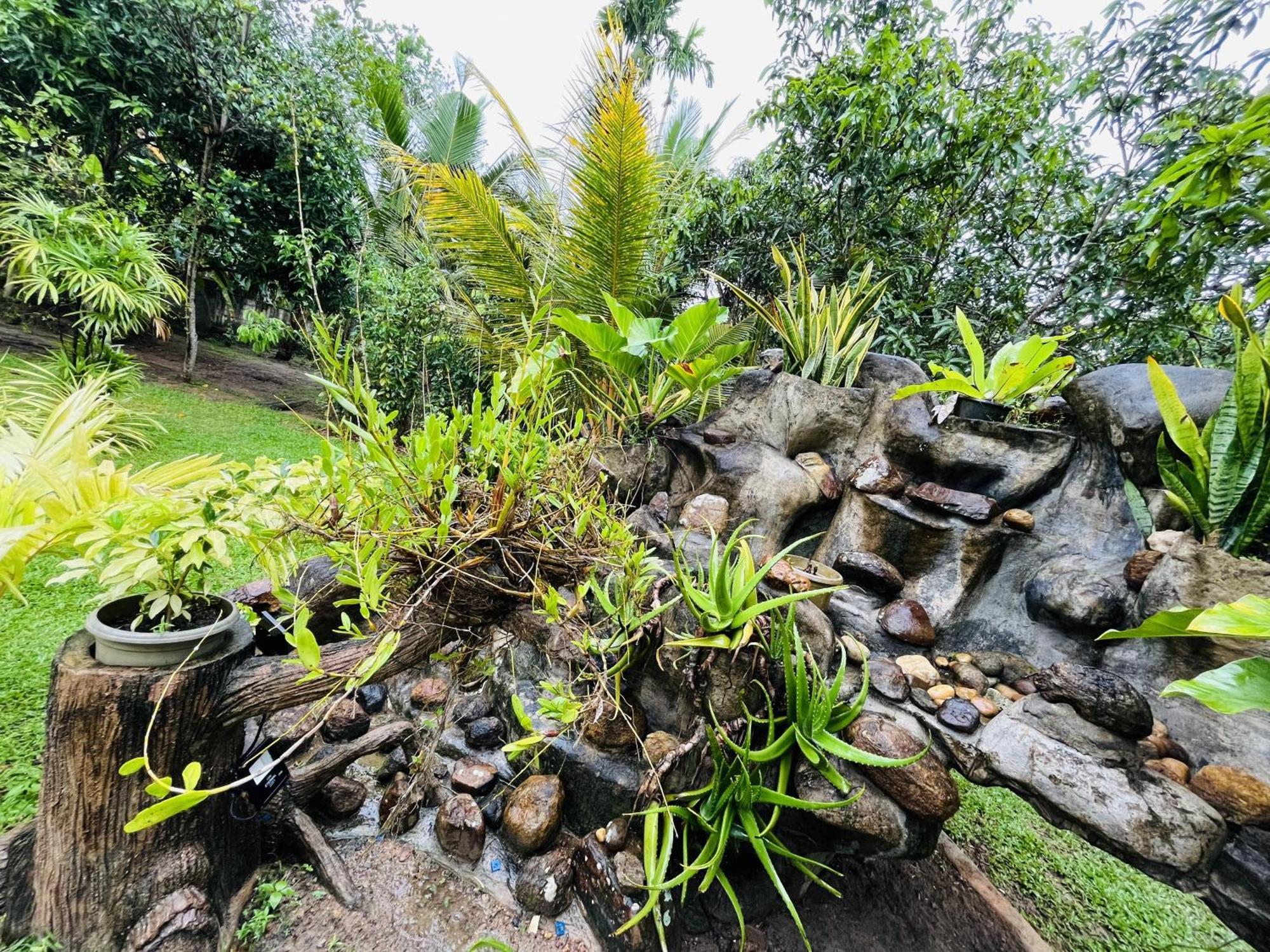 Villa Green Space Matara Buitenkant foto